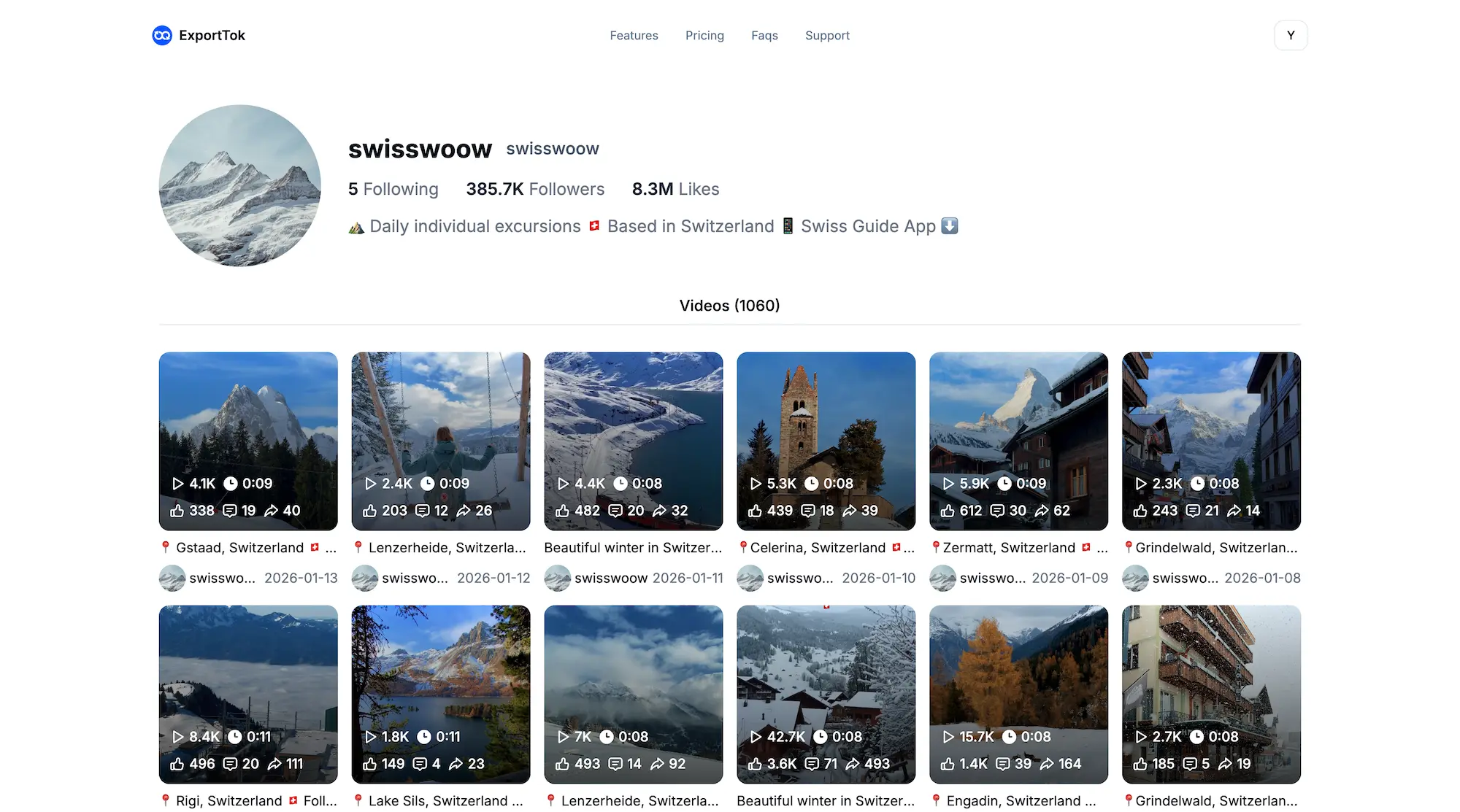 TikTok account viewer that works in your browser